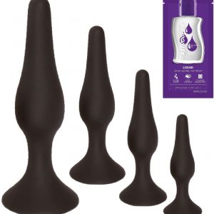 Beginners 4 Pcs Butt Plug Set