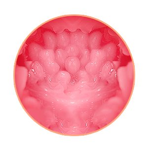 ZEMALIA 3D Realistic Vagina Butt Stroker